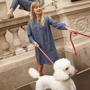 Madewell popover shift dress